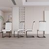 Modern Dining Chairs