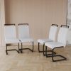 Modern Dining Chairs